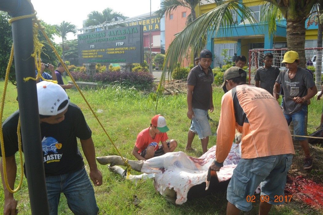 Pelaksanaan Pemotongan Hewan Qurban FTI UJ